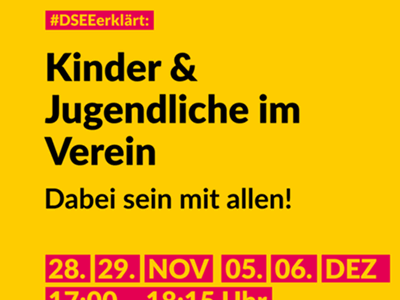 DSEE erklärt